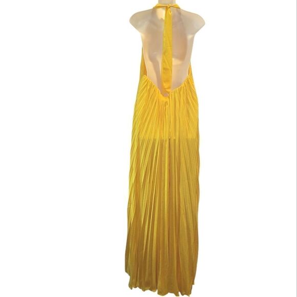 ANTHROPOLOGIE Hutch Halted Pleated Maxi Dress 1X NWT Pockets - Picture 8 of 16